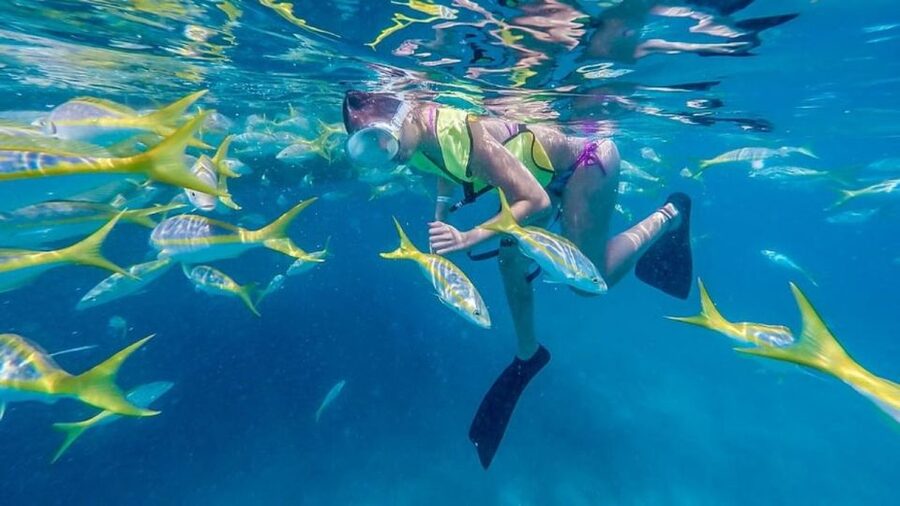 Key West: Afternoon Reef Snorkel Tour with Open Bar - Why the Crew Matters for Beginners