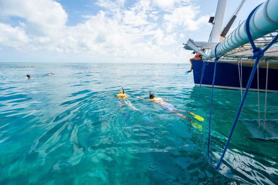 Key West: Afternoon Reef Snorkel Tour with Open Bar - About an Hour Among Fish and Coral