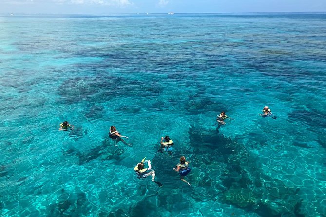 Key West Afternoon Reef Snorkeling with Open Bar - How much value you get for $59.95