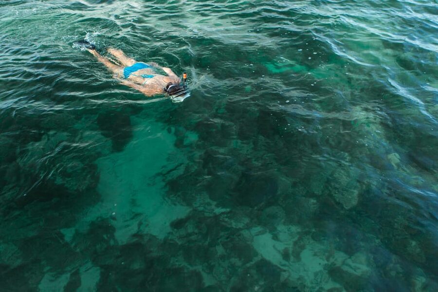 Key West Afternoon Sail, Snorkel, Kayak & Sunset Excursion - Kayaking through mangrove channels