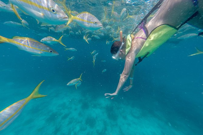 Key West Afternoon Snorkel Sail with Unlimited Cocktails! - The long ride to the Florida Reef
