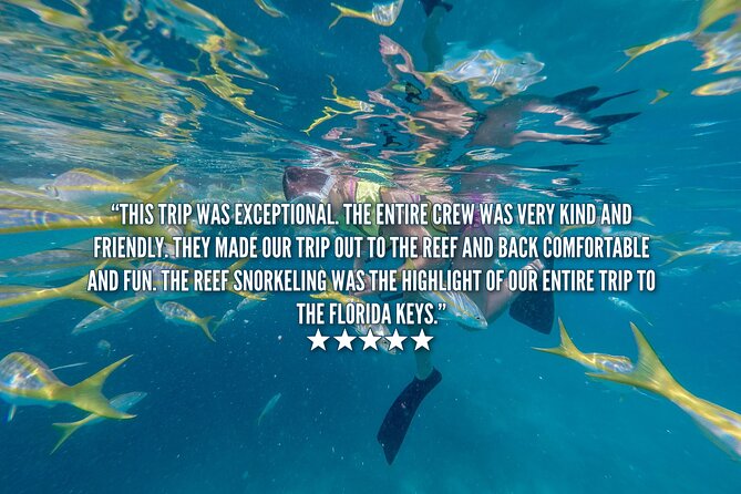 Key West Afternoon Snorkel Sail with Unlimited Cocktails! - What you may see beneath the surface
