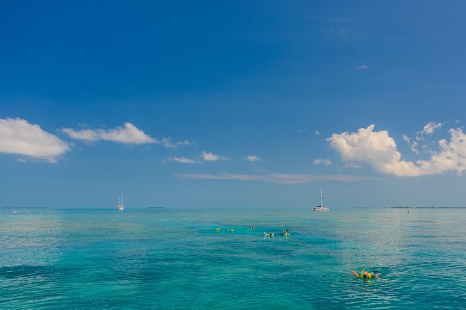 Key West Afternoon Snorkel Sail with Unlimited Cocktails! - Is $59 a fair price?