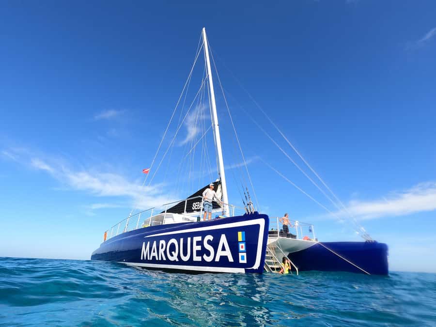 Key West: Catamaran Snorkel with Seafood Boil and Open Bar - A four-hour Key West outing with a clear rhythm