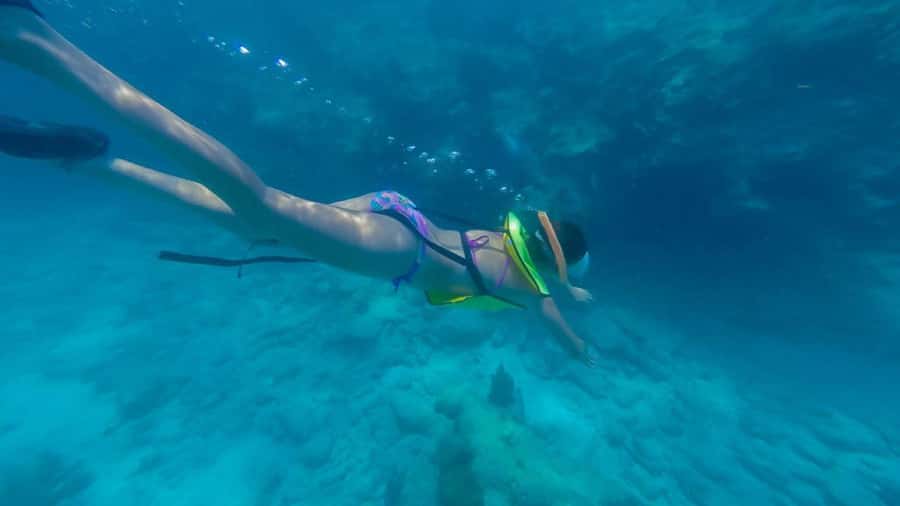 Key West: Catamaran Snorkel with Seafood Boil and Open Bar - Two snorkeling stops, including the possibility of Sand Key
