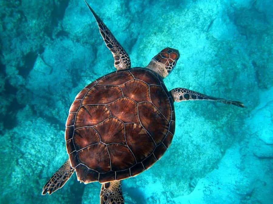 Key West: Catamaran Snorkel with Seafood Boil and Open Bar - Premium drinks and a sensible approach to the open bar