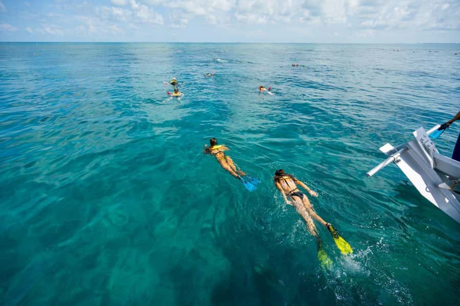 Key West: Catamaran Snorkel with Seafood Boil and Open Bar - The $89 price: good value if you use the whole package