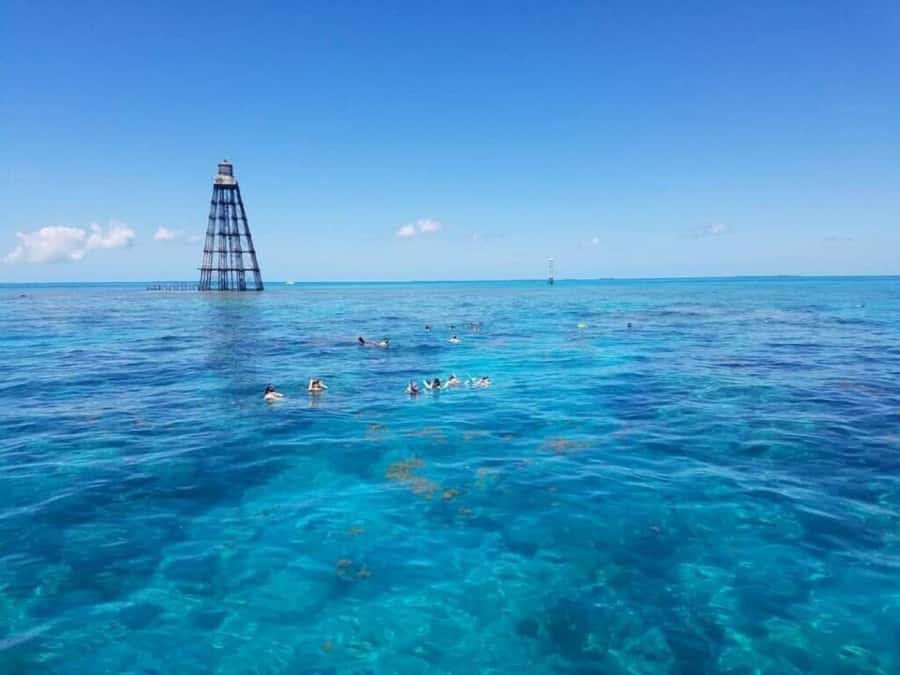 Key West: Catamaran Snorkel with Seafood Boil and Open Bar - What the catamaran adds to the experience