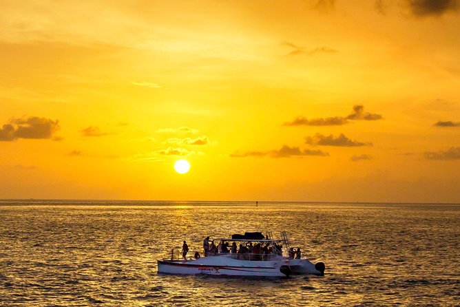 Key West Dolphin and Snorkel Experience - Key points to know before booking