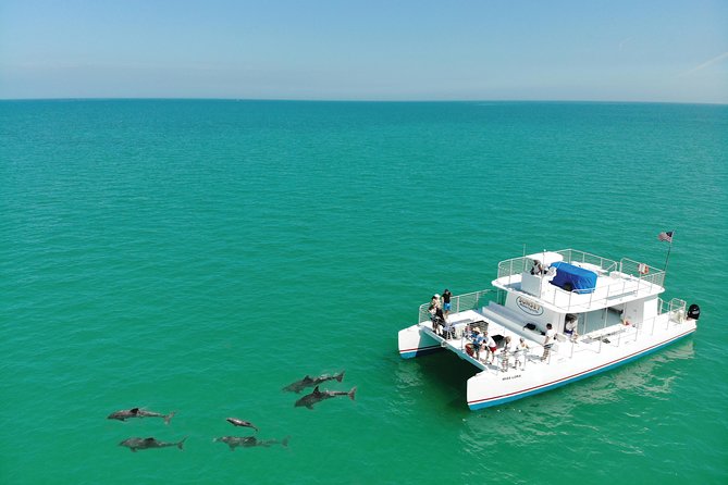 Key West Dolphin and Snorkel Experience - Dolphins first, with the Florida Keys as your setting