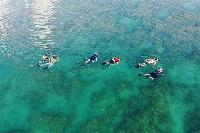 Key West Dolphin and Snorkel Experience - What the $69.95 price really covers