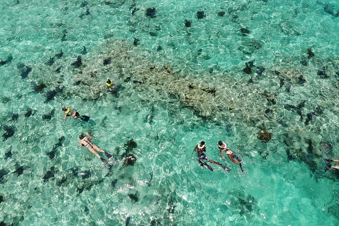 Key West Dolphin and Snorkel Experience - Leaving from the Historic Seaport at 201 William Street