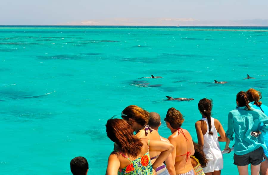 Key West: Dolphin & Reef Snorkel Trip with Sunset Option - Key points to know before booking