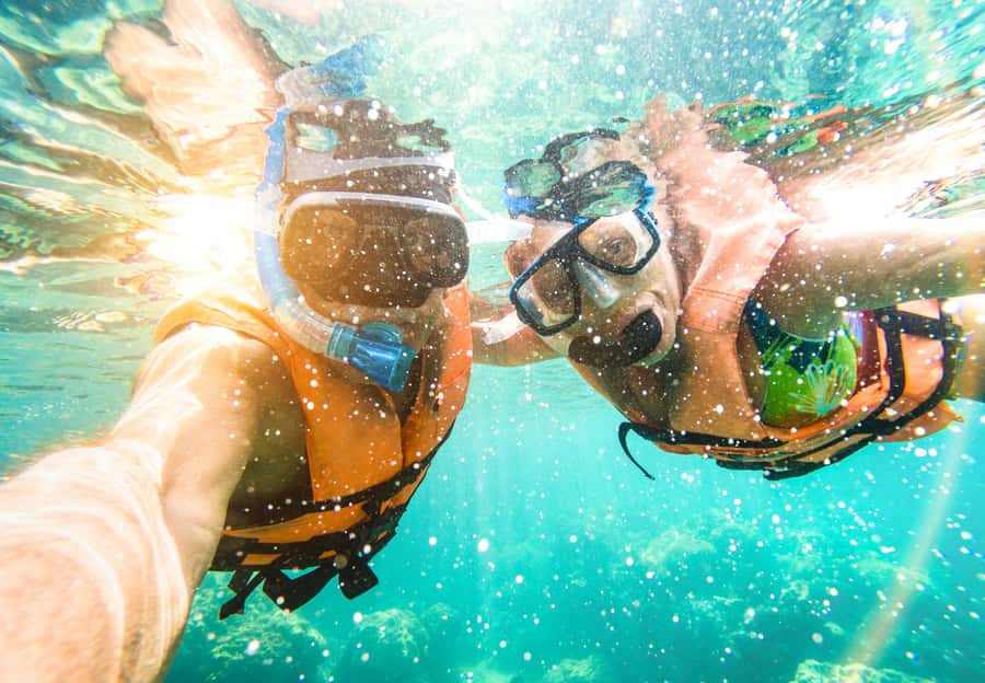 Key West: Dolphin & Reef Snorkel Trip with Sunset Option - Snorkeling among reef life