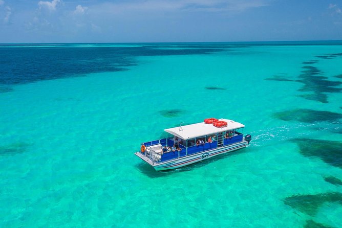Key West Dolphin Watch and Snorkel Tour - Eco Adventure - Should you book it?