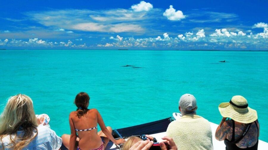 Key West: Dolphin Watching and Snorkeling Eco Cruise Tour - Key points to know before booking
