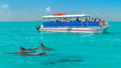 Key West: Dolphin Watching and Snorkeling Eco Cruise Tour