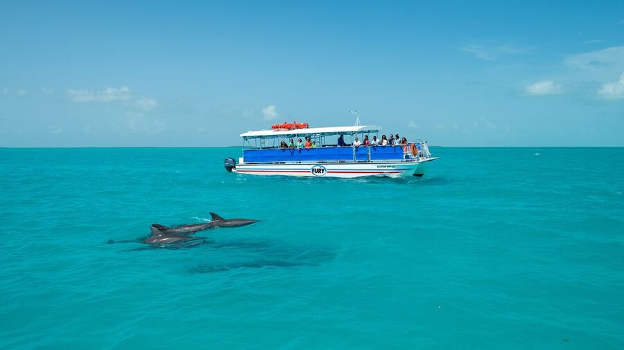 Key West: Dolphin Watching and Snorkeling Eco Cruise Tour - Is the late afternoon departure worth it?