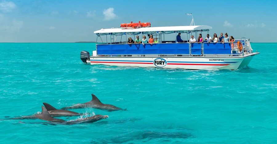 Key West: Dolphin Watching and Snorkeling Eco Cruise Tour - Weather, wildlife, and realistic expectations
