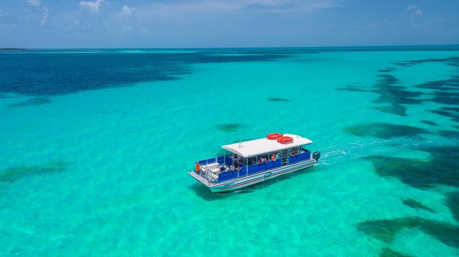 Key West: Dolphin Watching and Snorkeling Eco Cruise Tour - Who will enjoy this Key West cruise most?