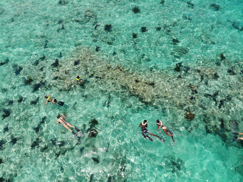 Key West: Dolphin Watching and Snorkeling Sunset Cruise - Key Points At A Glance