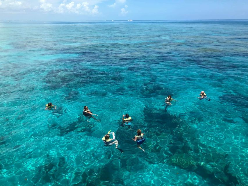 Key West: Dolphin Watching and Snorkeling Sunset Cruise - Who Will Enjoy This Cruise Most