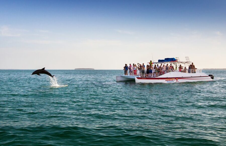Key West: Dolphin Watching and Snorkeling Sunset Cruise - Snorkeling Help For Beginners And Non-Swimmers