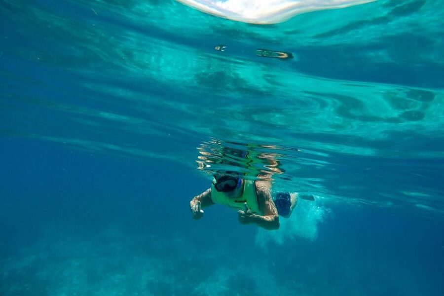 Key West: Dolphin Watching and Snorkeling Sunset Cruise - Crew Service Is A Major Part Of The Experience