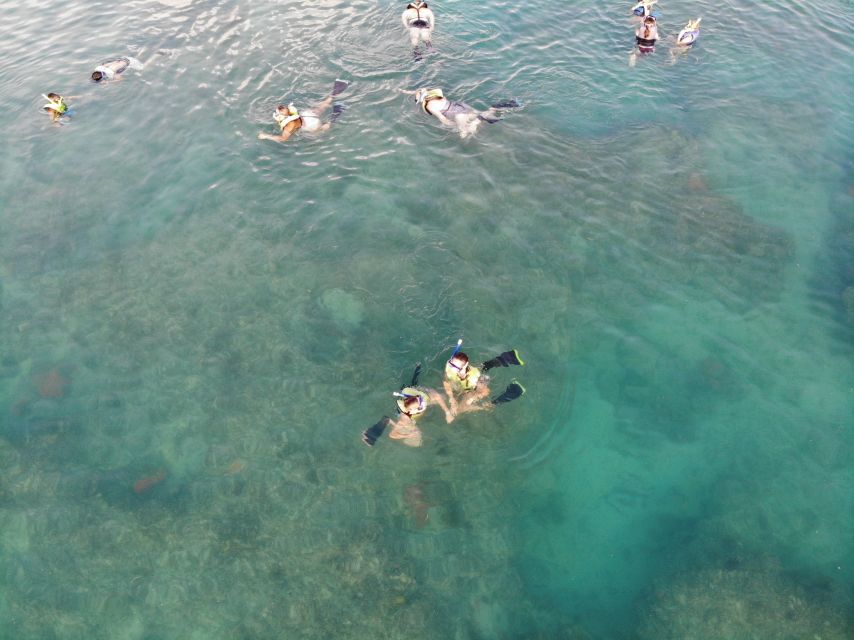 Key West: Dolphin Watching and Snorkeling Sunset Cruise - What $79 Buys You