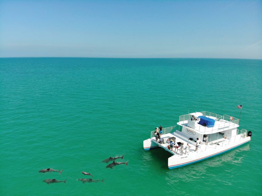 Key West: Dolphin Watching and Snorkeling Sunset Cruise - Searching For Dolphins In Their Natural Home