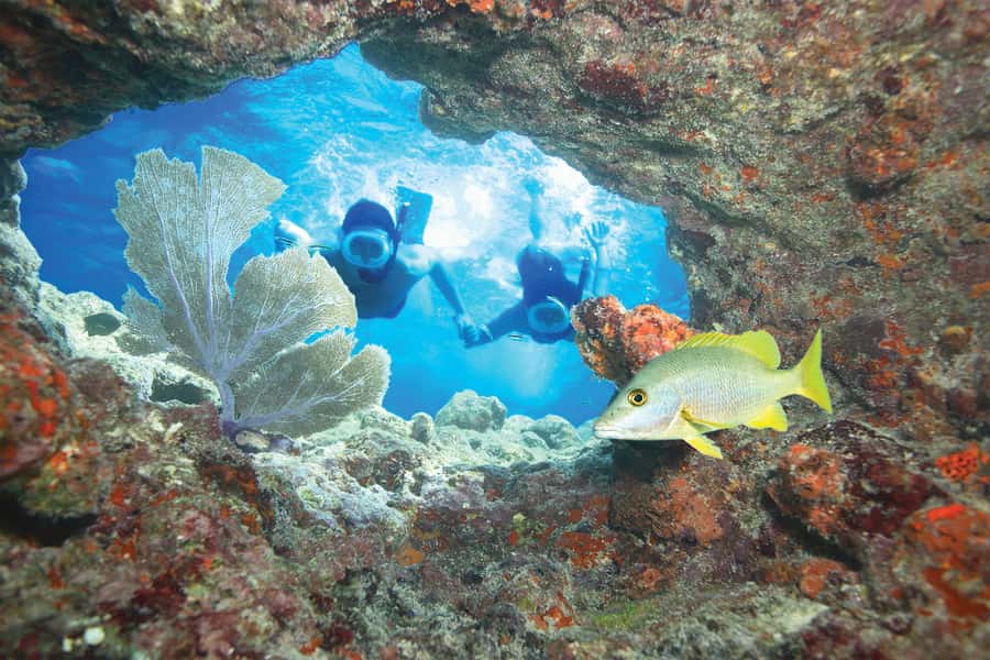 Key West Double Dip: 2-Stop Reef Snorkeling Trip - Key points at a glance