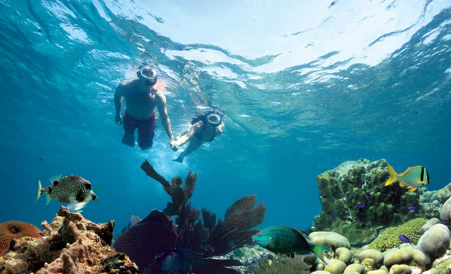 Key West Double Dip: 2-Stop Reef Snorkeling Trip - Why two snorkeling stops matter in Key West