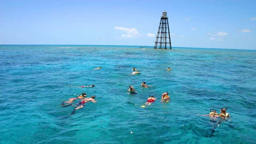 Key West Double Dip: 2-Stop Reef Snorkeling Trip - What happens at the two reef sites