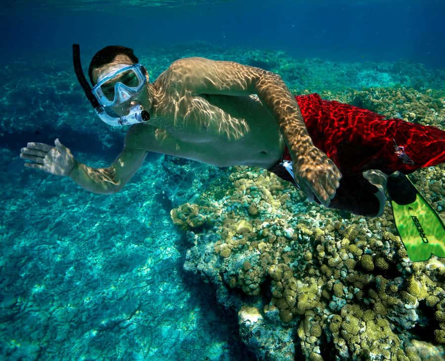 Key West Double Dip: 2-Stop Reef Snorkeling Trip - Should you book the Key West Double Dip?