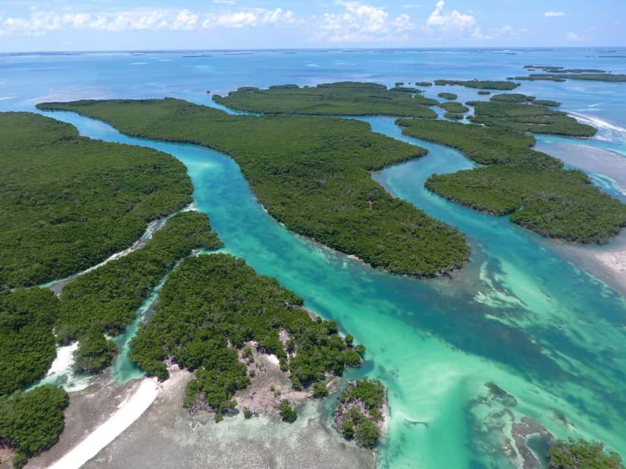 Key West: Eco Safari Sandbar Tour with Snorkeling - Key points to know