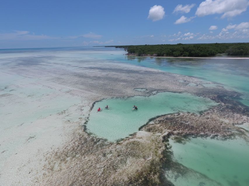 Key West: Eco Safari Sandbar Tour with Snorkeling - Practical tips for a smoother outing