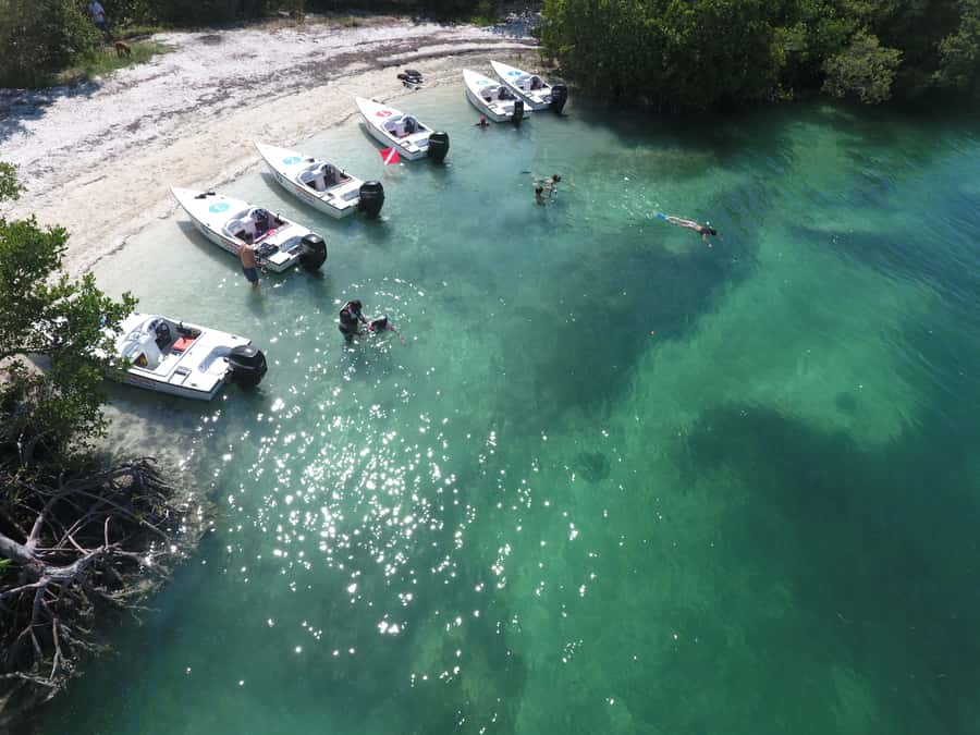 Key West: Eco Safari Sandbar Tour with Snorkeling - Leaving Cow Key Marina for the mangroves