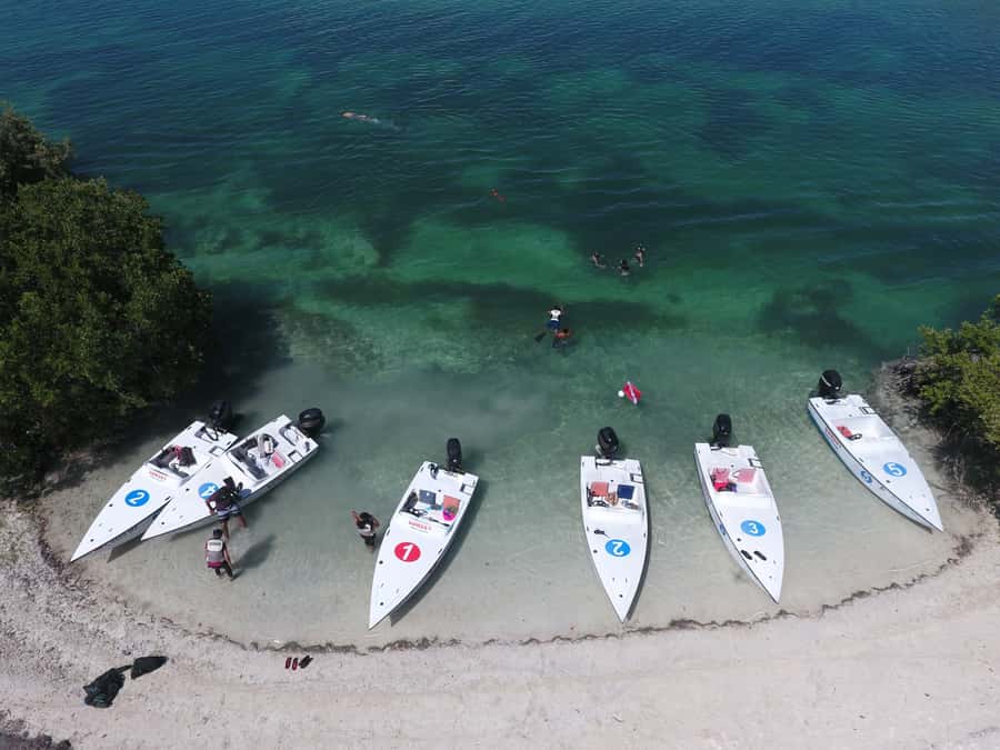 Key West: Eco Safari Sandbar Tour with Snorkeling - Watching for ospreys, pelicans, manatees, and sharks