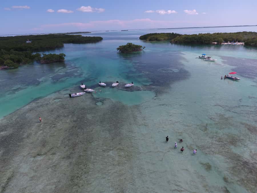 Key West: Eco Safari Sandbar Tour with Snorkeling - Arriving at Mud Key’s small sandbar
