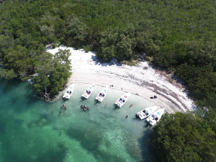 Key West: Eco Safari Sandbar Tour with Snorkeling - Swimming and snorkeling at the Gulf stop