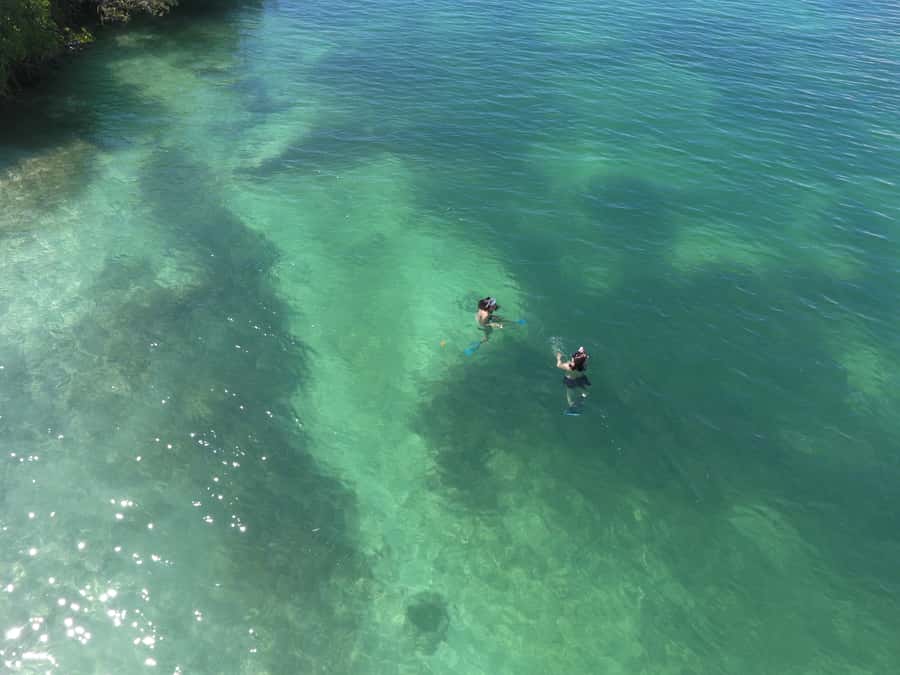 Key West: Eco Safari Sandbar Tour with Snorkeling - Who will enjoy this Key West boat trip?