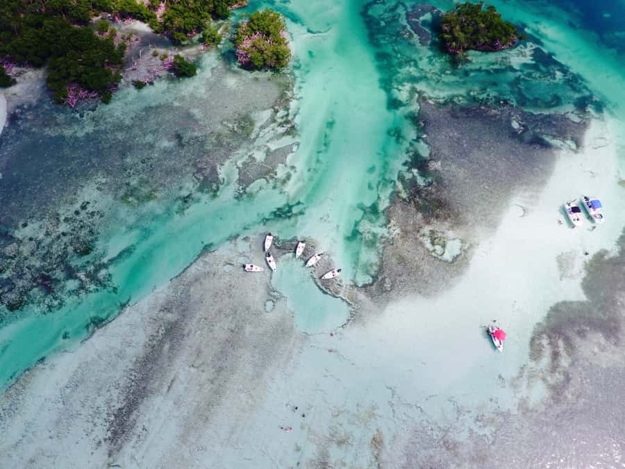 Key West: Eco Safari Sandbar Tour with Snorkeling - Taking the controls through Key West’s backcountry