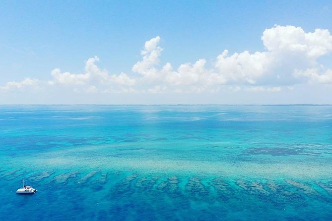 Key West Reef Morning Snorkeling with Breakfast and Mimosas - Who will enjoy this most