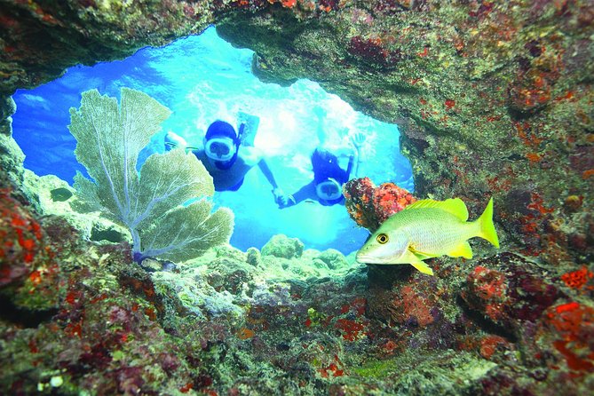 Key West Reef Snorkel – Morning Mimosas or Afternoon Margaritas - Key points to know before you book