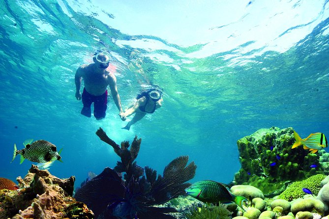 Key West Reef Snorkel – Morning Mimosas or Afternoon Margaritas - Sailing seven miles from Opal Key Marina