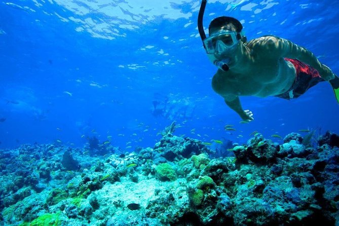 Key West Reef Snorkel – Morning Mimosas or Afternoon Margaritas - When weather changes the whole outing