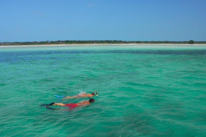 Key West Reef Snorkel – Morning Mimosas or Afternoon Margaritas - Who will enjoy this most