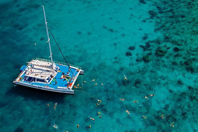 Key West Reef Snorkel – Morning Mimosas or Afternoon Margaritas - Finding the right reef for the day