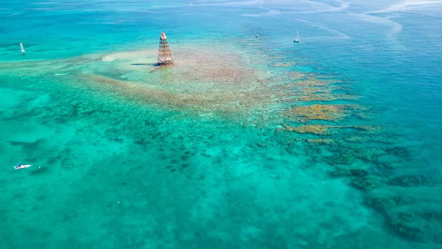Key West: Reef Snorkel Morning Tour with Breakfast & Mimosas - Key points at a glance