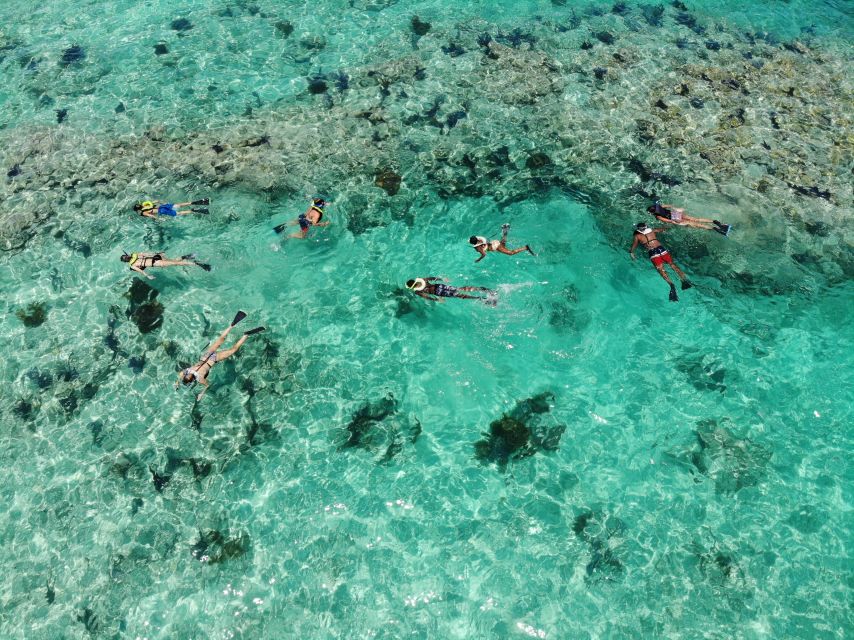 Key West: Reef Snorkel Morning Tour with Breakfast & Mimosas - Is $54 a good price for three hours?